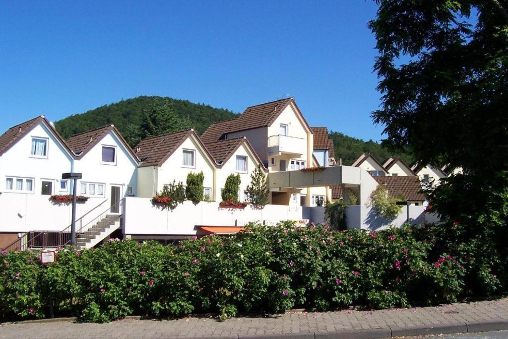 Seglerfewo Mit Traumhaftem Blick Vom Balkon Scheid  Экстерьер фото
